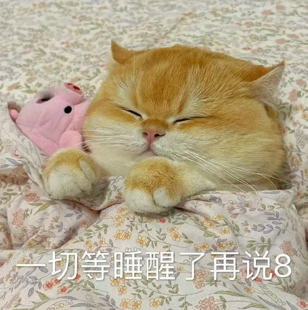 今日文案|笑死人不偿命的句子，快分享给你的好友一起(图10)