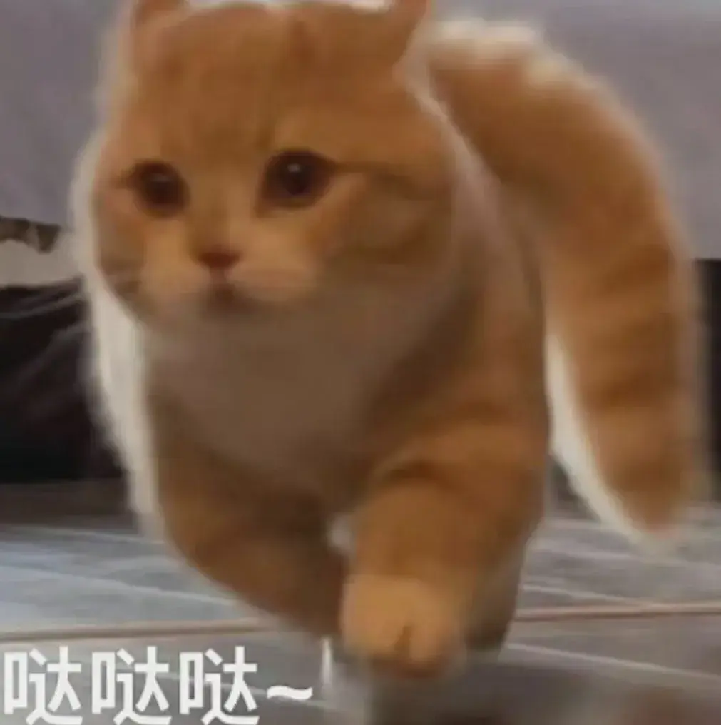 今日文案|笑死人不偿命的句子，快分享给你的好友一起(图11)