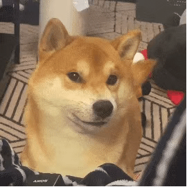 今日文案|笑死人不偿命的句子，快分享给你的好友一起(图14)