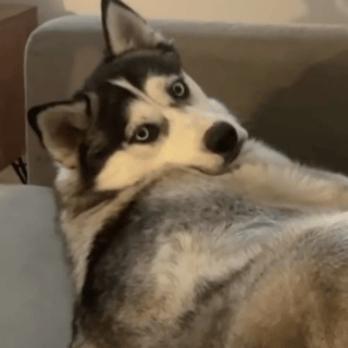 今日文案|笑死人不偿命的句子，快分享给你的好友一起(图15)