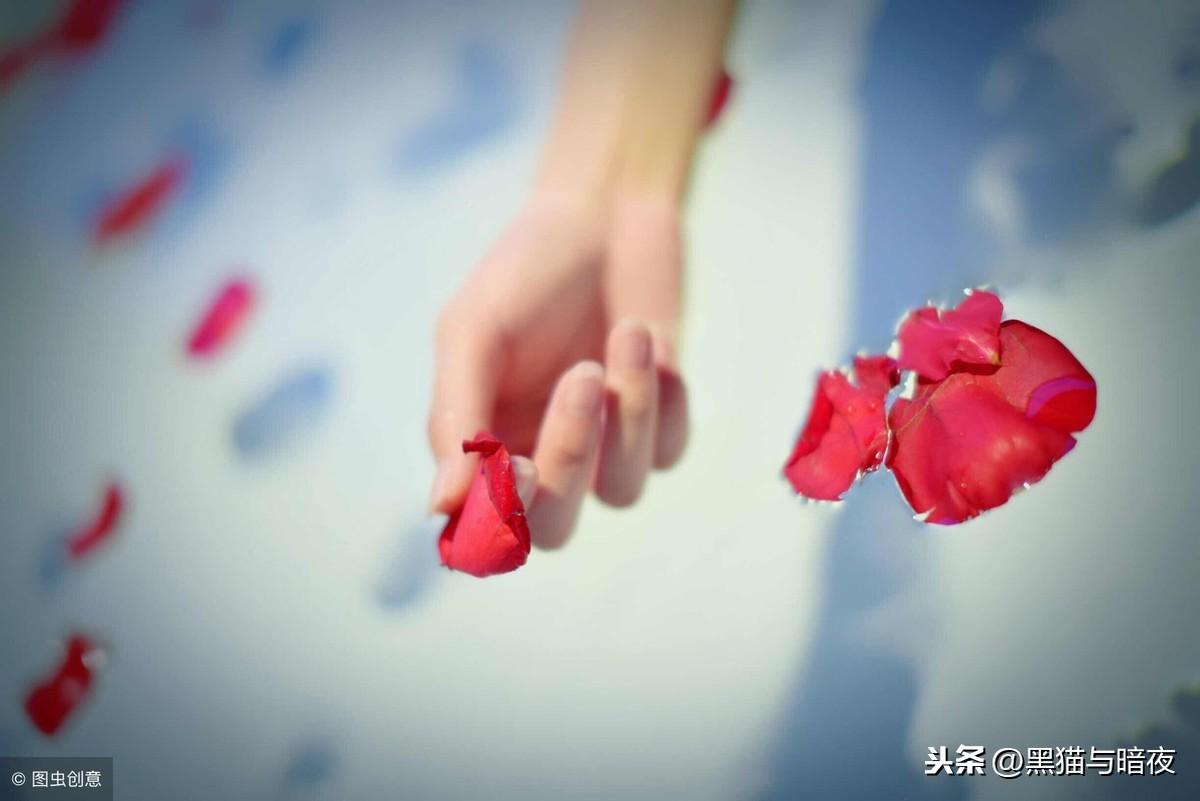 华丽转身，又见一抹彩虹(图5)