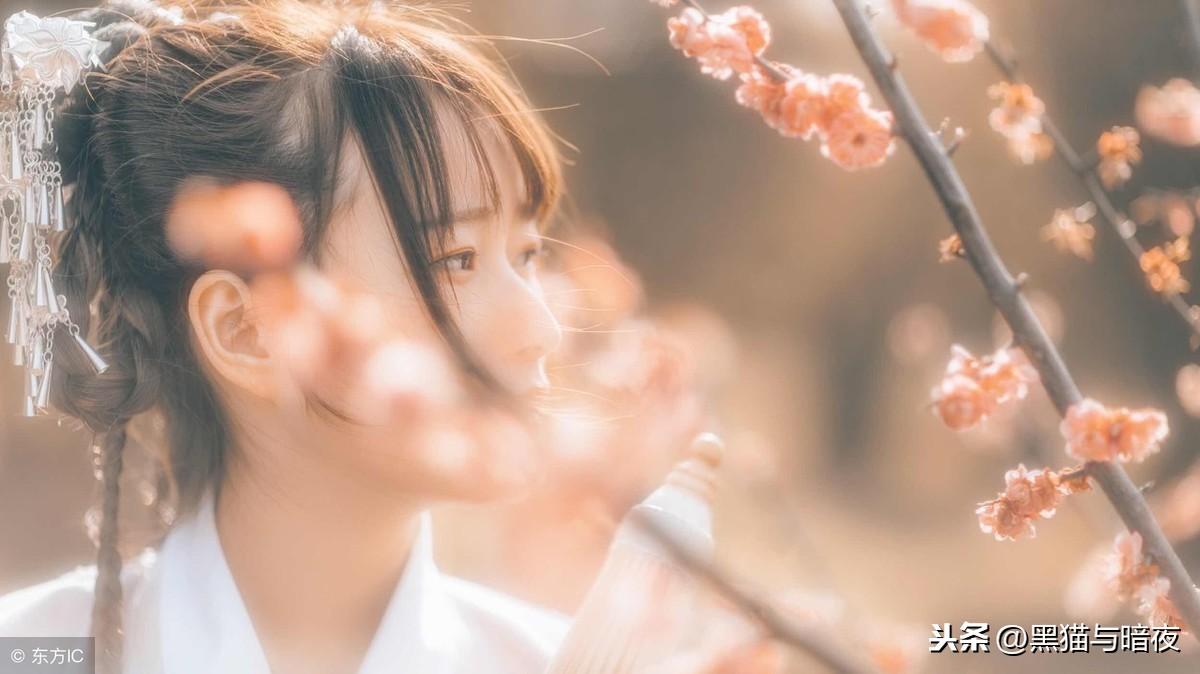 华丽转身，又见一抹彩虹(图7)