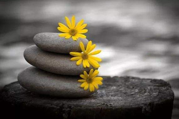 弘一法师智慧：人生，若想摆脱平庸，须悟懂这3句话(图5)