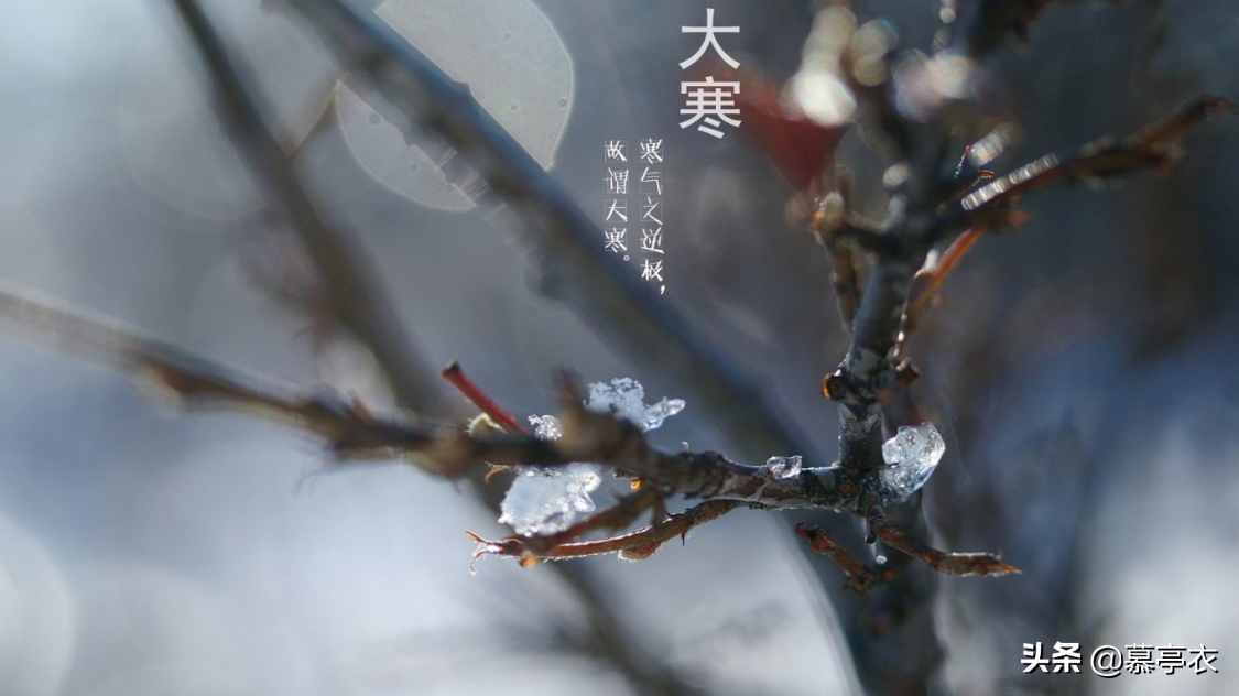 愿你三冬暖，春不寒，愿你路上有良人相伴(图1)