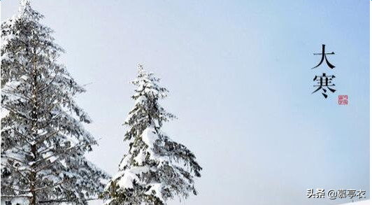 愿你三冬暖，春不寒，愿你路上有良人相伴(图4)