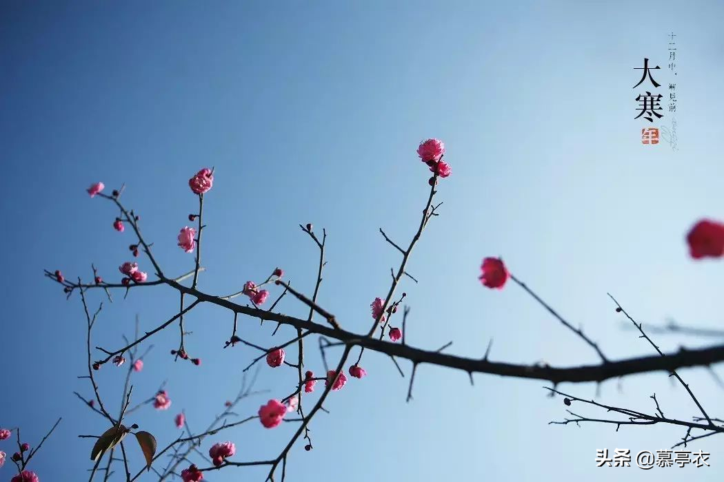 愿你三冬暖，春不寒，愿你路上有良人相伴(图5)