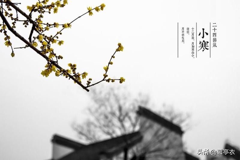 愿你三冬暖，春不寒，愿你路上有良人相伴(图6)