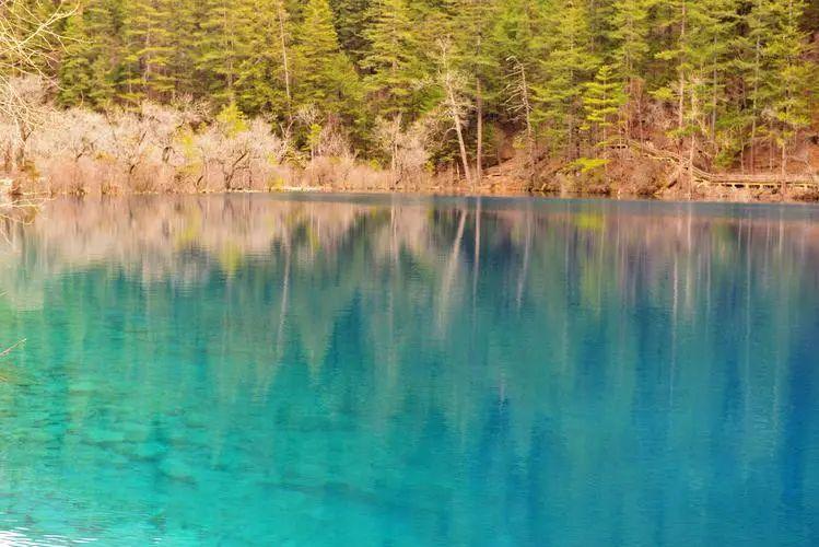 自己努力变得更好的句子，走心励志，越读越优秀(图2)