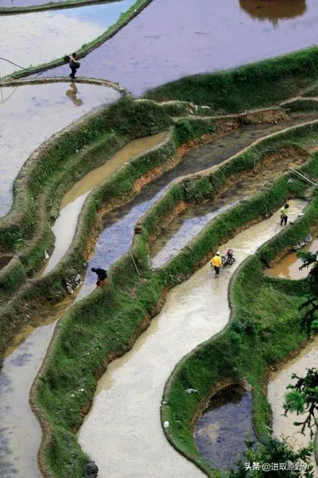 春暖花开、未来可期！精选春天的祝福文案，与您分享(图5)