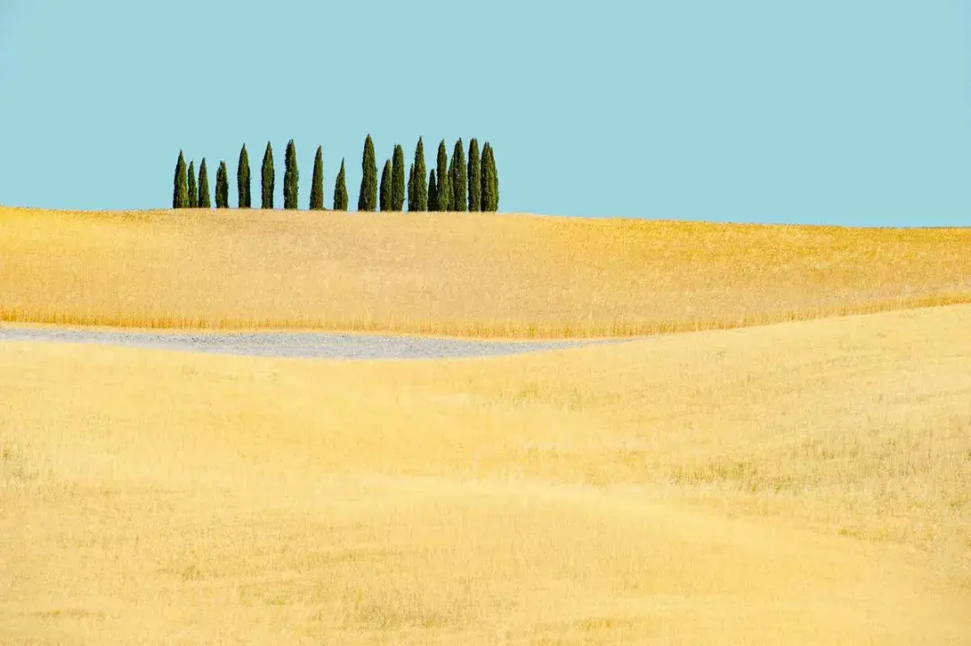 哲思 | 坚持自律，赢得的是整个人生(图2)