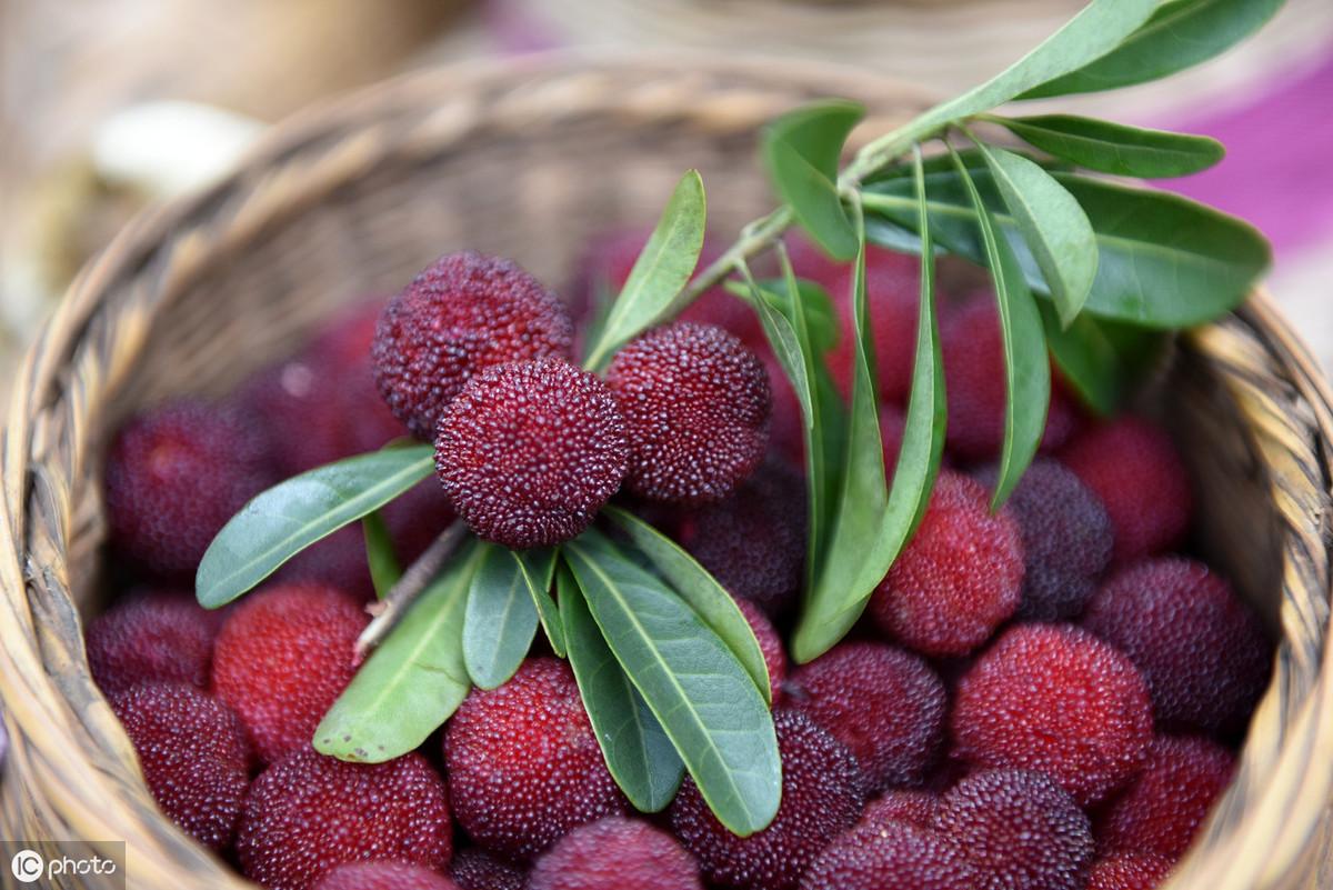 教师编制考试——常见的22句名言积累(图1)