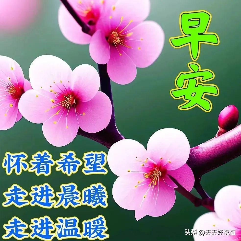 新的一天，新的希望，迎接新的机遇，早安。(图3)