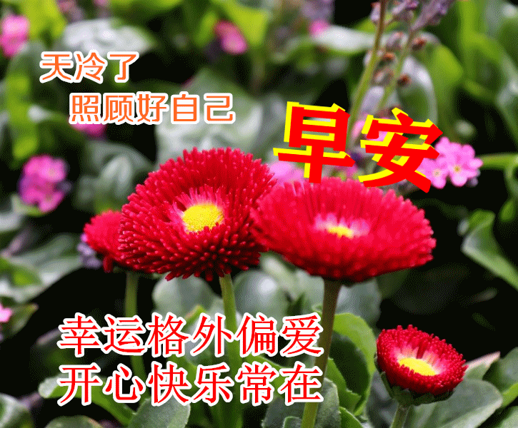 新的一天，新的希望，迎接新的机遇，早安。(图10)