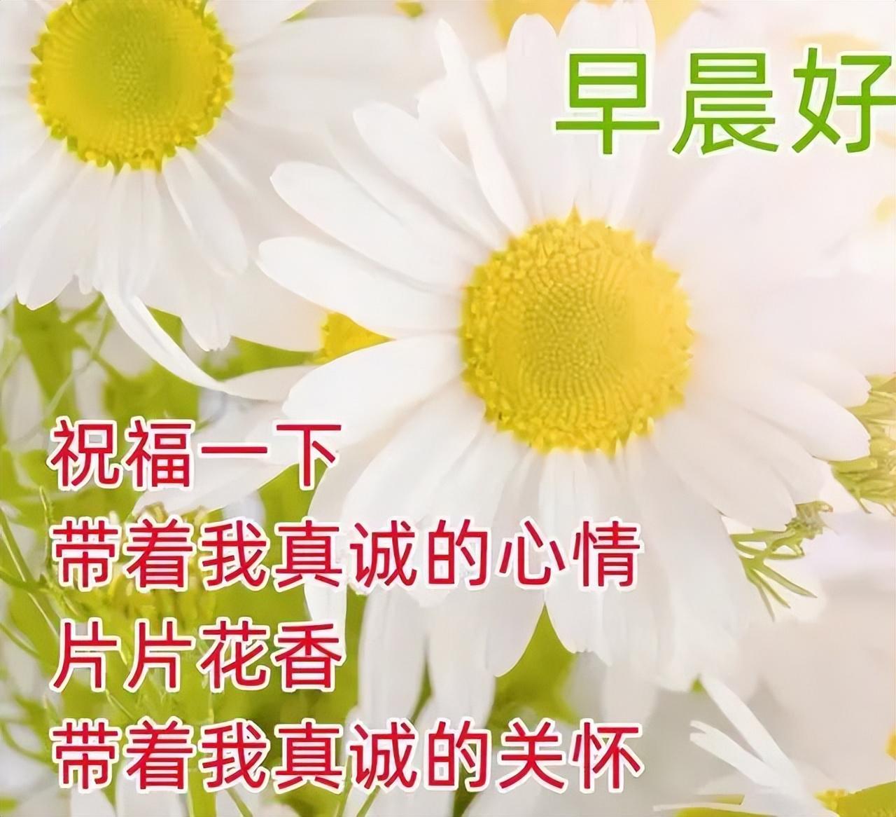 充满阳光和期待的正能量句子，唯美的早安正能量经典语录(图2)