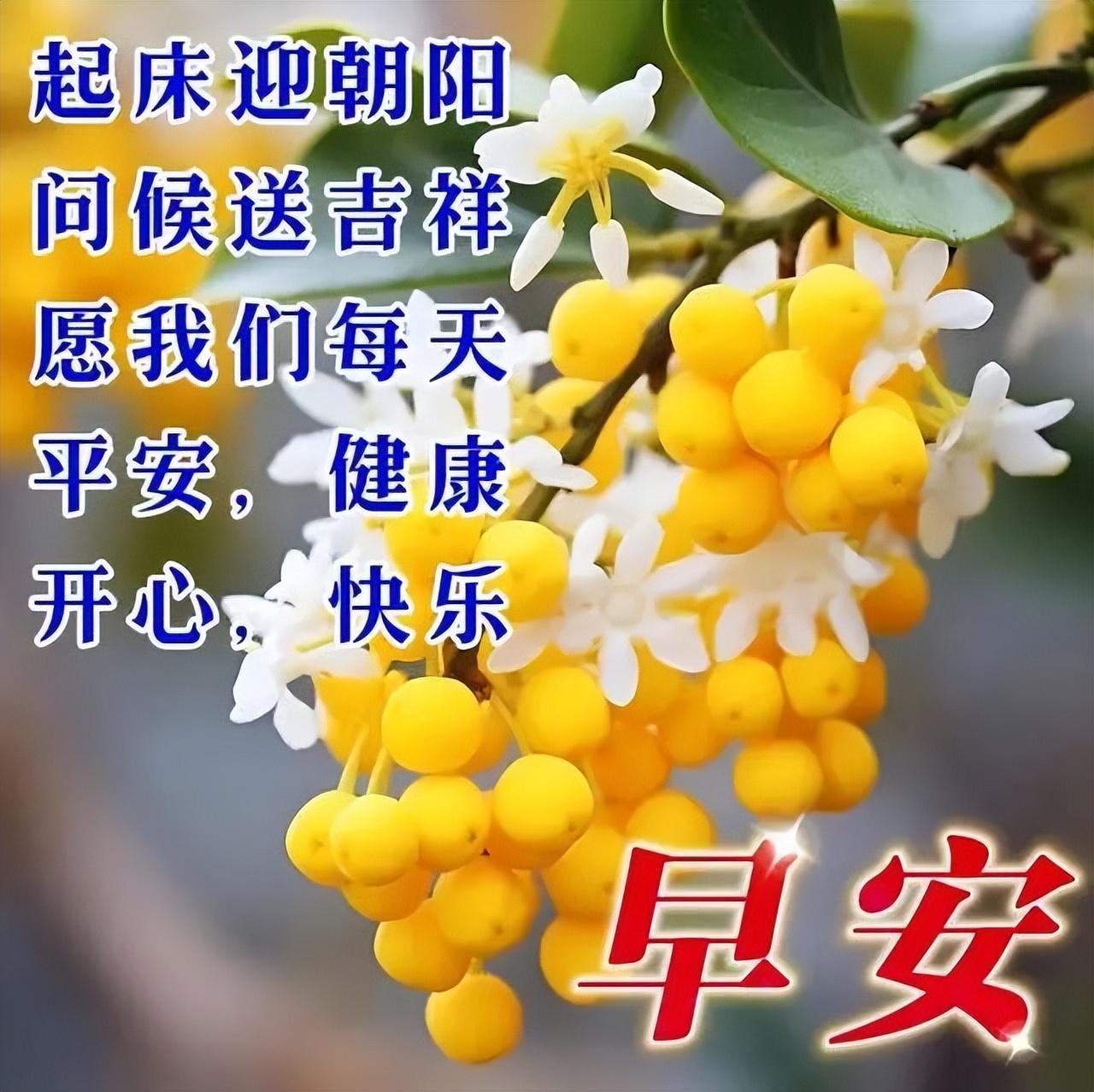 充满阳光和期待的正能量句子，唯美的早安正能量经典语录(图3)