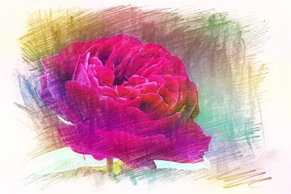 简短暖心的正能量句子，阳光向上，触动心灵，值得拥有(图2)