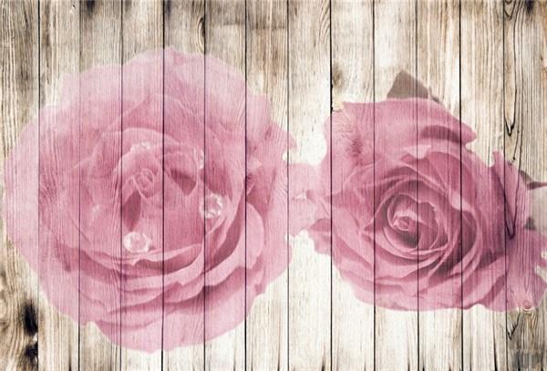 简短暖心的正能量句子，阳光向上，触动心灵，值得拥有(图5)