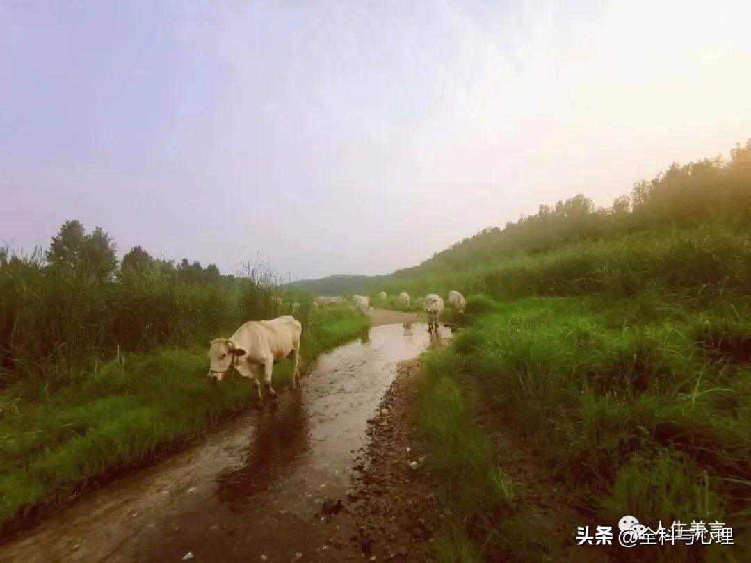 句句扎心的伤感文案，唯美悲伤语录短句(图3)