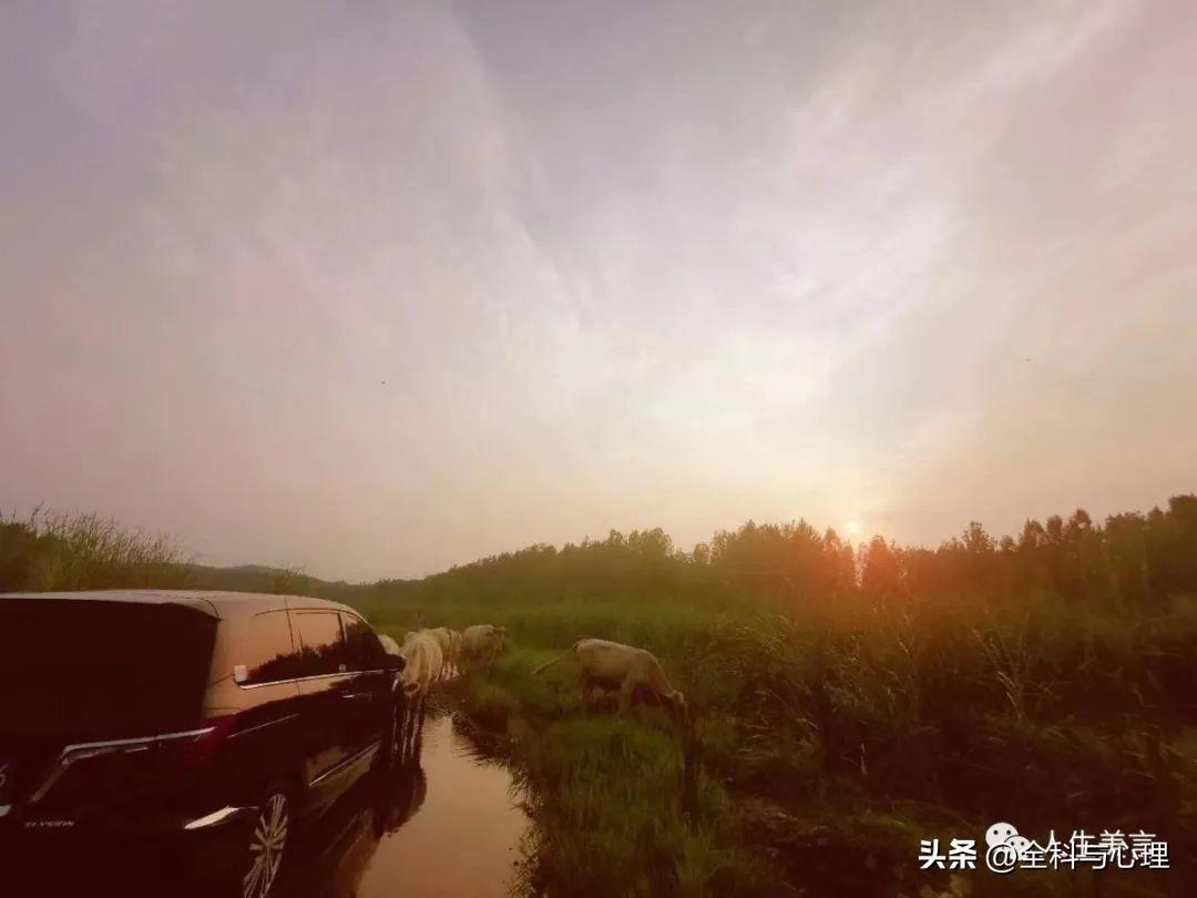 句句扎心的伤感文案，唯美悲伤语录短句(图4)