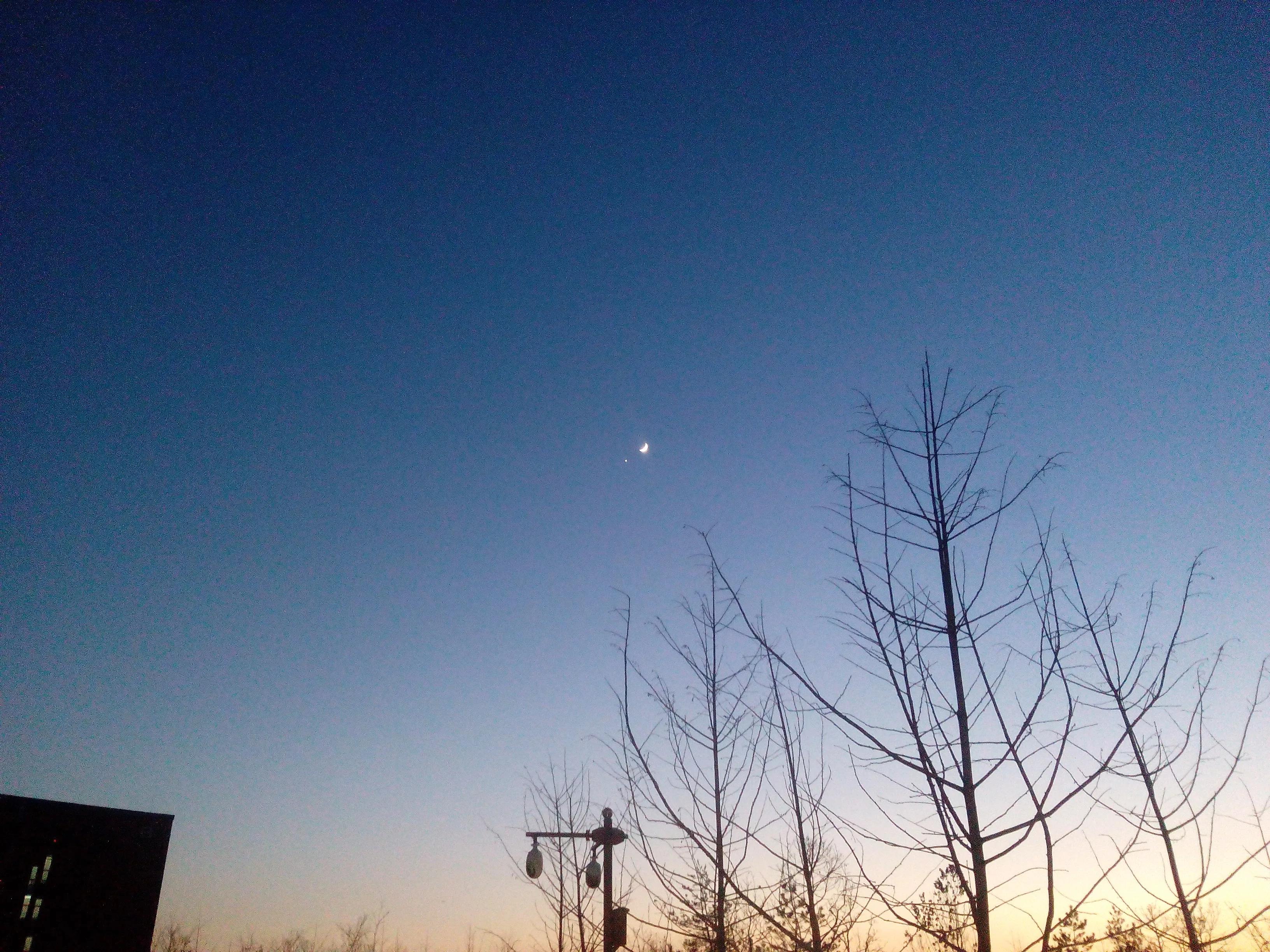 父母在，人生尚有来处;父母去，人生只剩归途(图1)