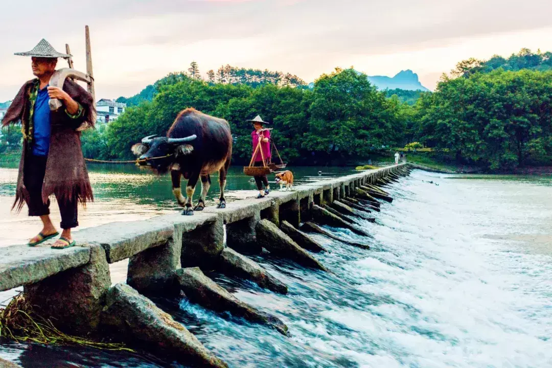 古训：父母在，尚有来处；父母去，只剩归途(图1)