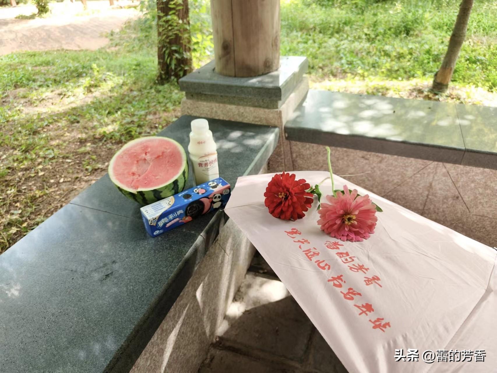 当生命没有来处，只剩归途，你是否还会日醉黄昏(图1)