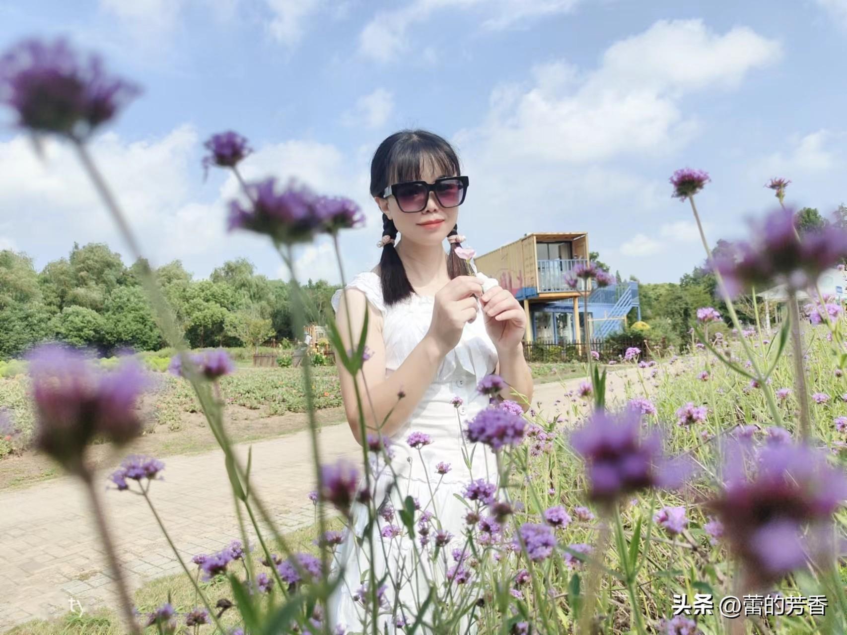 当生命没有来处，只剩归途，你是否还会日醉黄昏(图2)