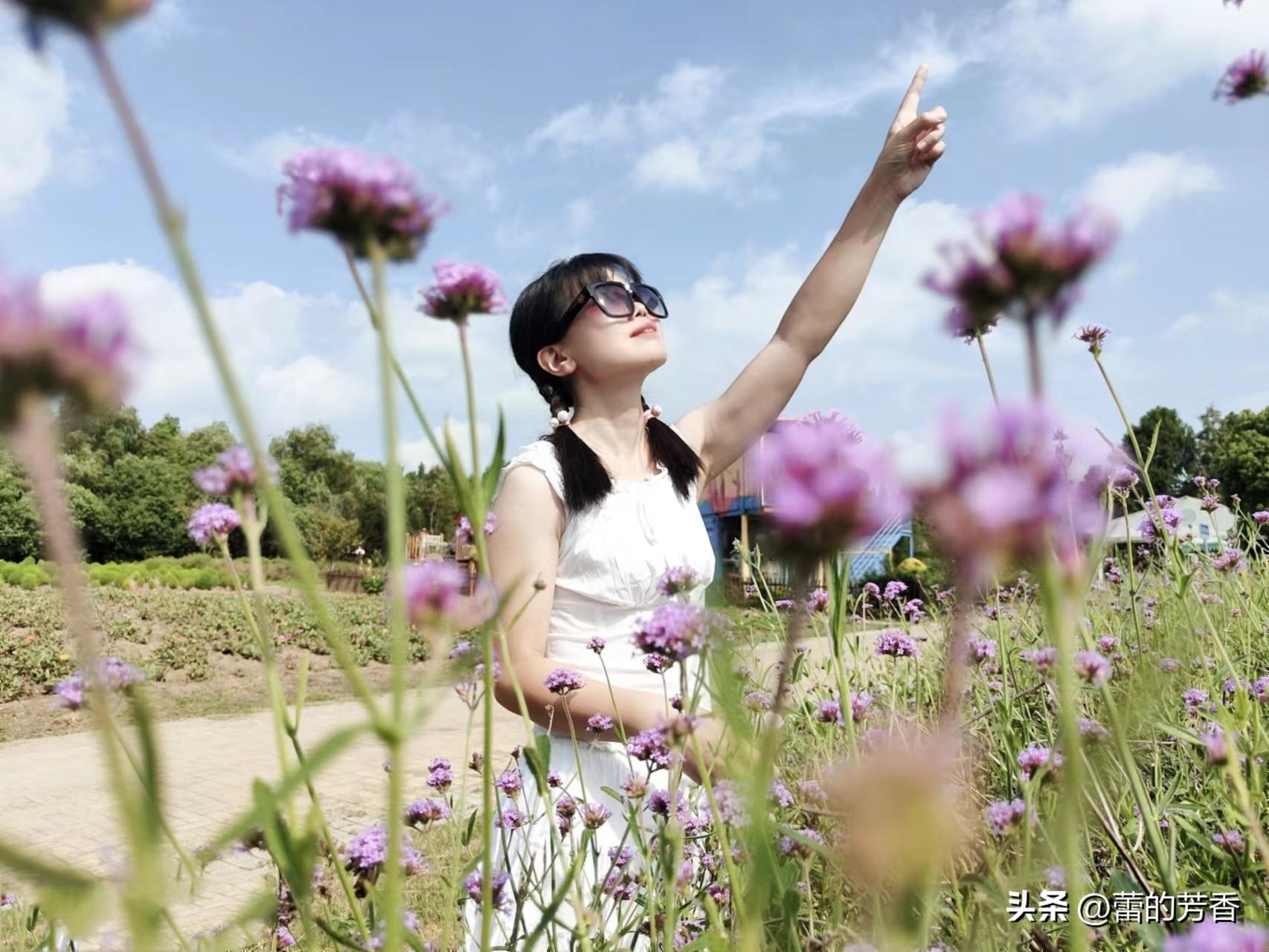 当生命没有来处，只剩归途，你是否还会日醉黄昏(图3)