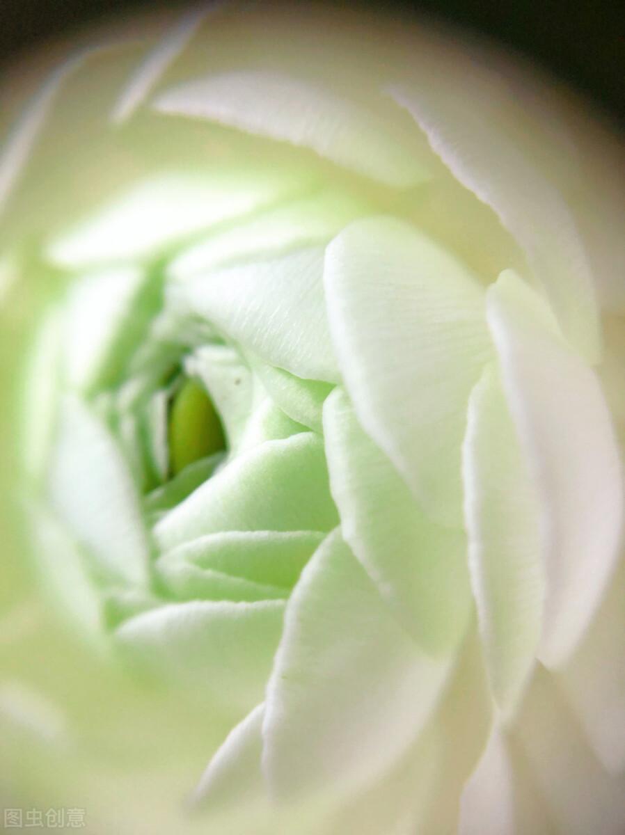 过年：家人闲坐，灯火可亲，愿新年，胜旧年，与时舒卷，与光同尘(图3)