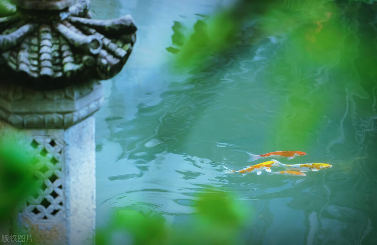 过年：家人闲坐，灯火可亲，愿新年，胜旧年，与时舒卷，与光同尘(图5)