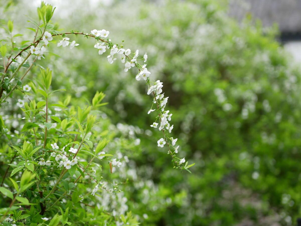 过年：家人闲坐，灯火可亲，愿新年，胜旧年，与时舒卷，与光同尘(图6)