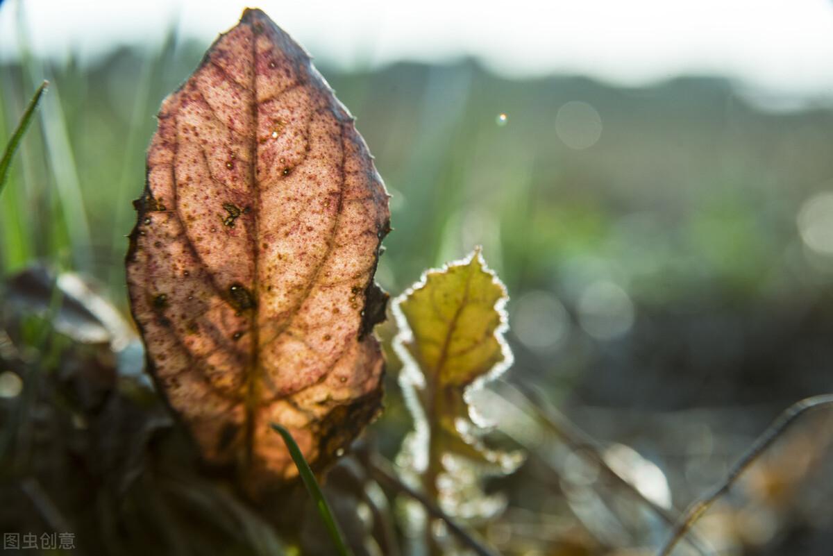 过年：家人闲坐，灯火可亲，愿新年，胜旧年，与时舒卷，与光同尘(图8)