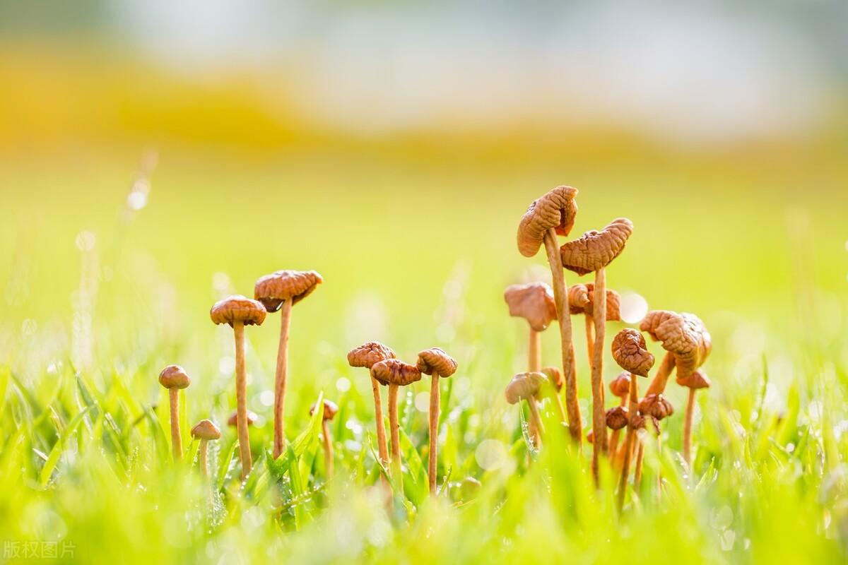 过年：家人闲坐，灯火可亲，愿新年，胜旧年，与时舒卷，与光同尘(图9)