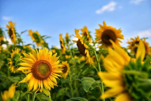 你最想对自己说的一句励志话是什么？(图5)