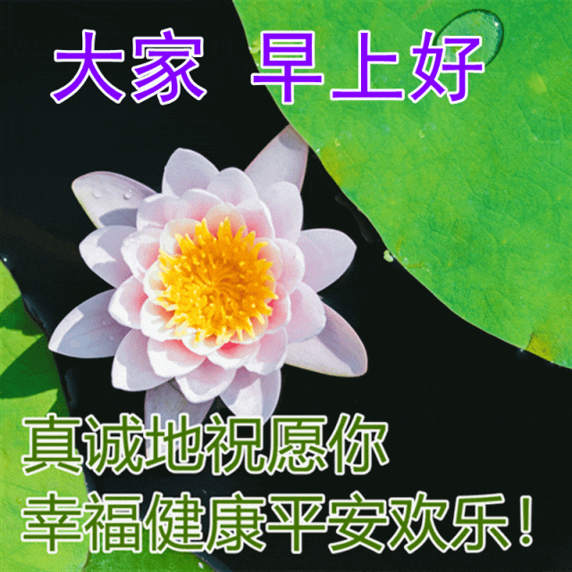 致自己很励志的正能量简短句子，句句阳光的正能量人生语录(图2)