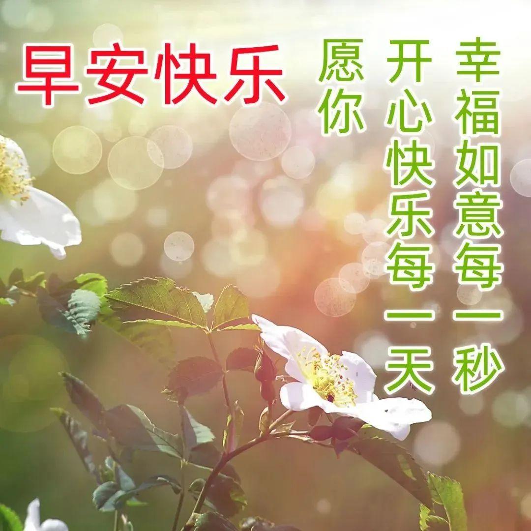 致自己很励志的正能量简短句子，句句阳光的正能量人生语录(图4)