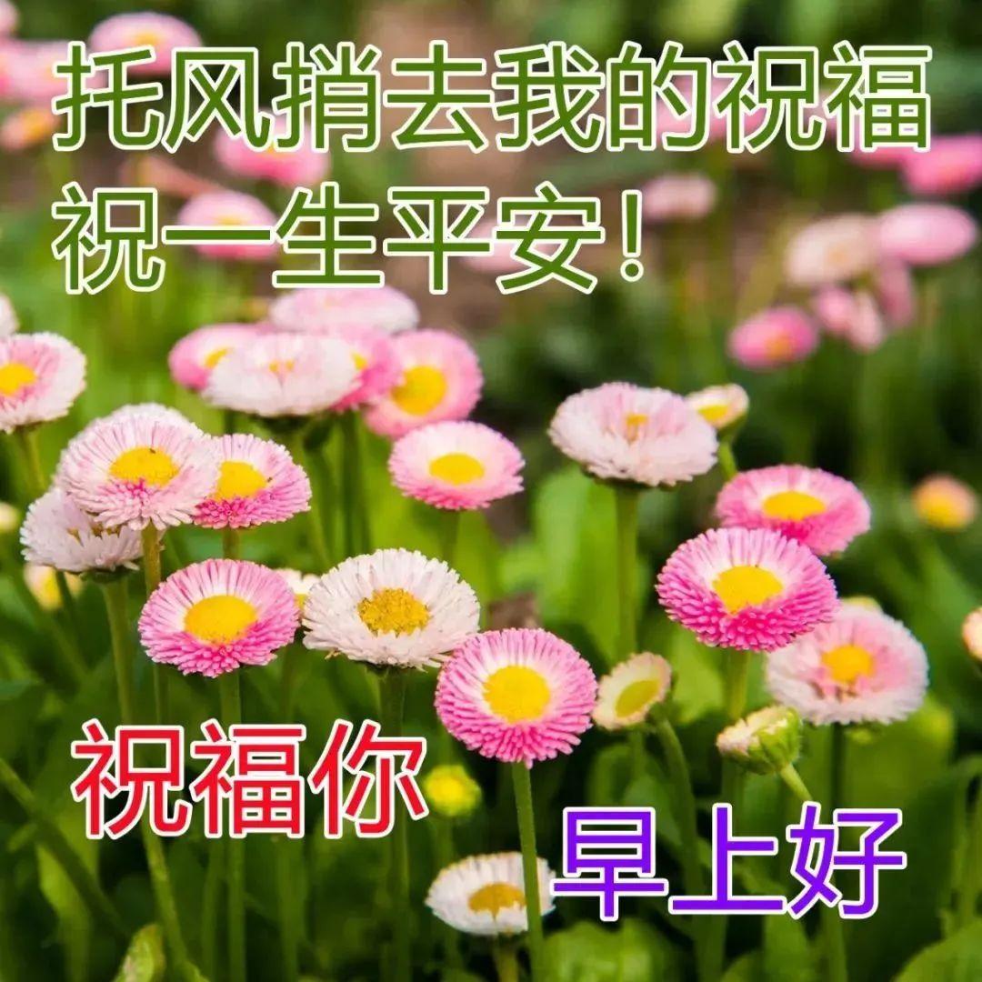 致自己很励志的正能量简短句子，句句阳光的正能量人生语录(图5)