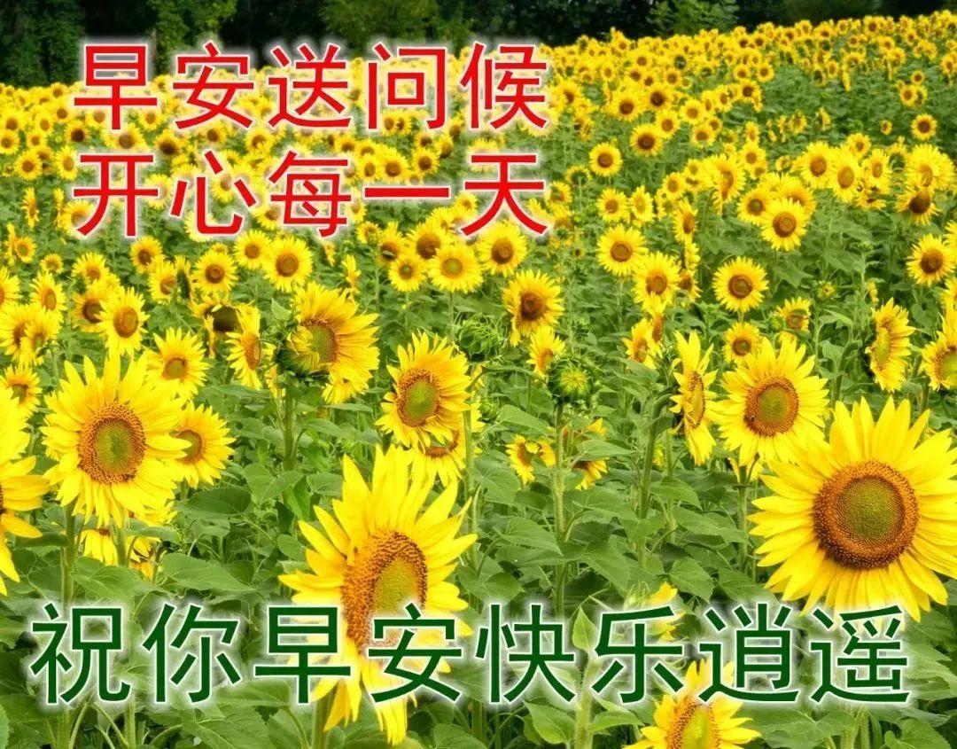 致自己很励志的正能量简短句子，句句阳光的正能量人生语录(图9)