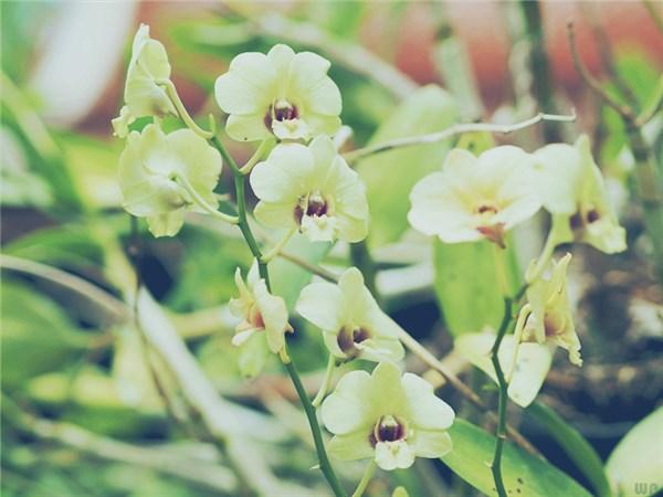 发朋友圈唯美阳光的句子，意义深远，正能量满满(图2)