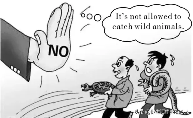 “抗击疫情”英语作文优秀范文汇总！（转给孩子背诵）(图1)