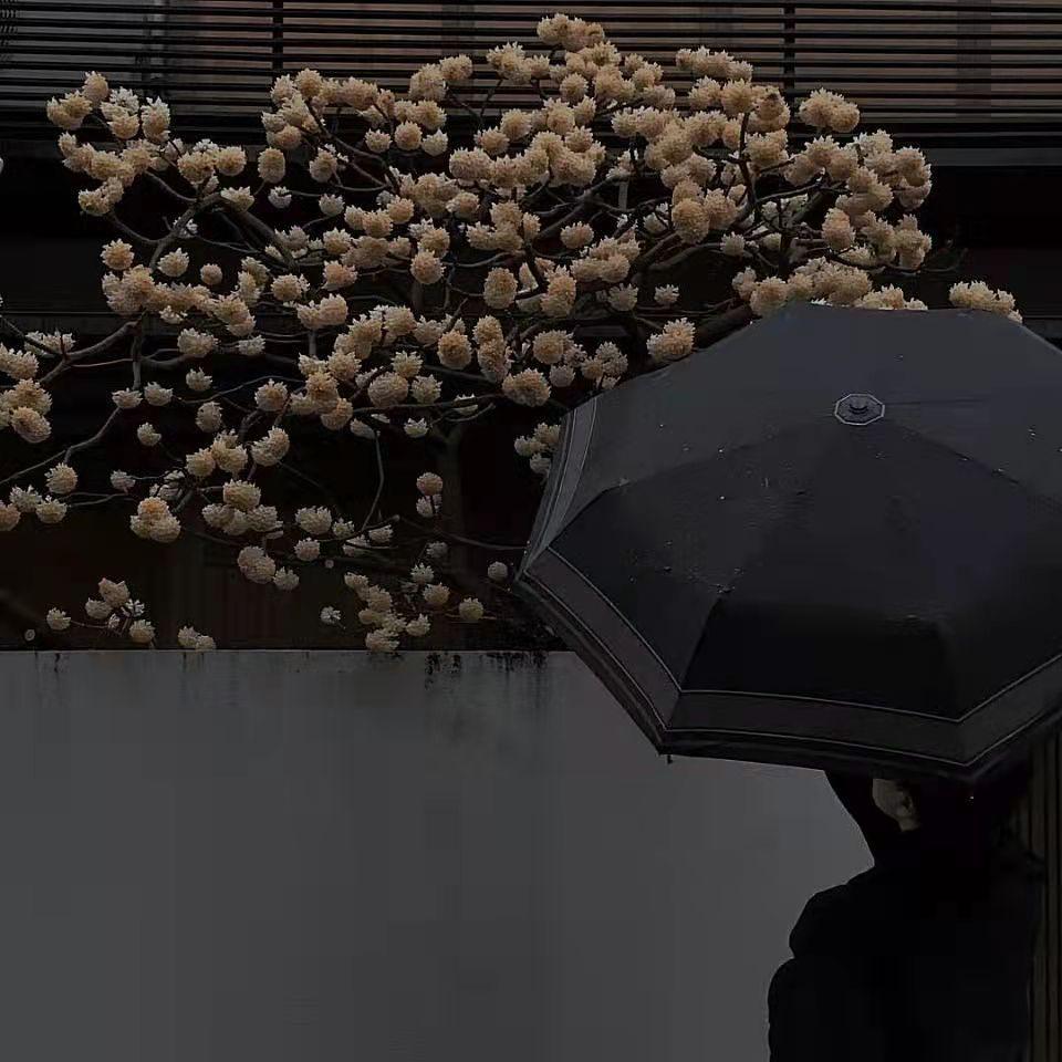 适合在分手后发的朋友圈文案(图8)