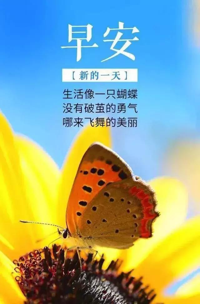 抖音很火的励志句子，句句激情澎湃，让人热血沸腾(图3)