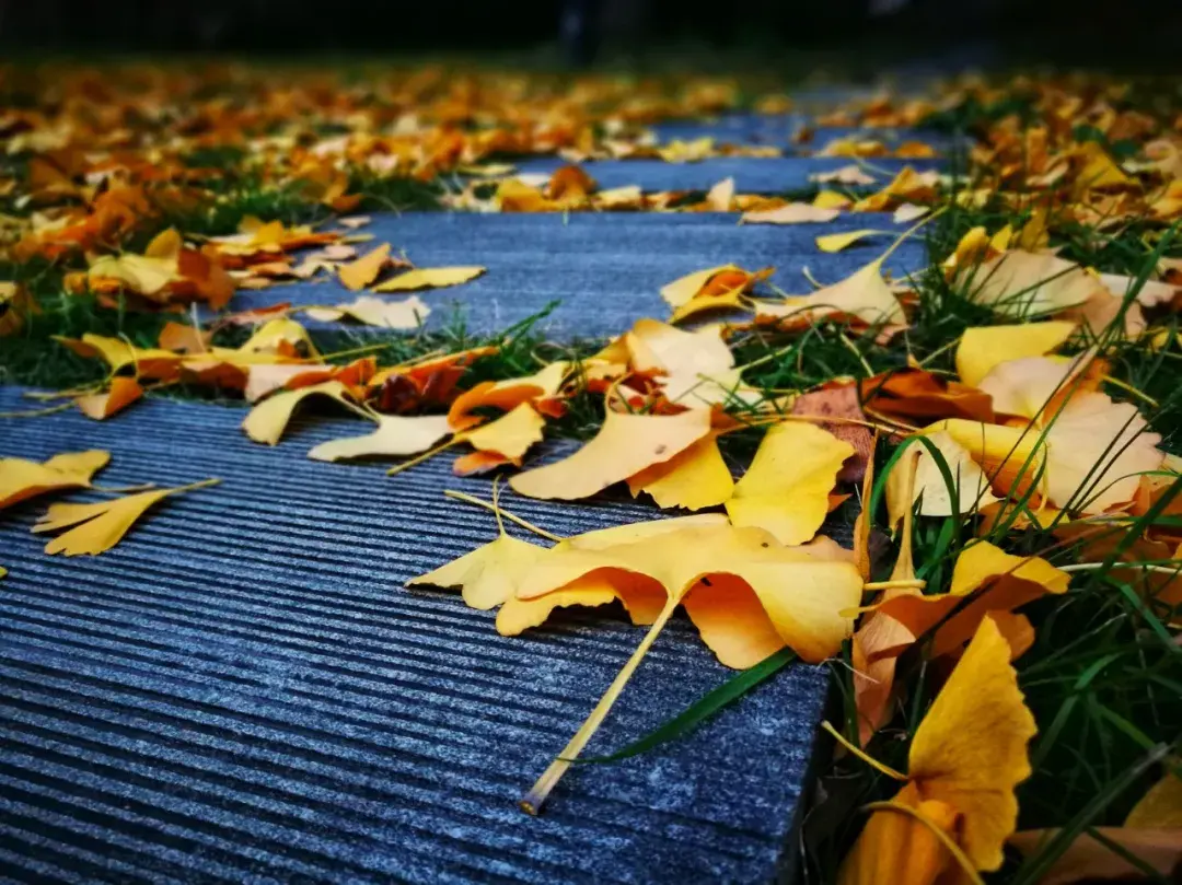 这些写等待的诗，句句痴情，令人潸然泪下(图9)