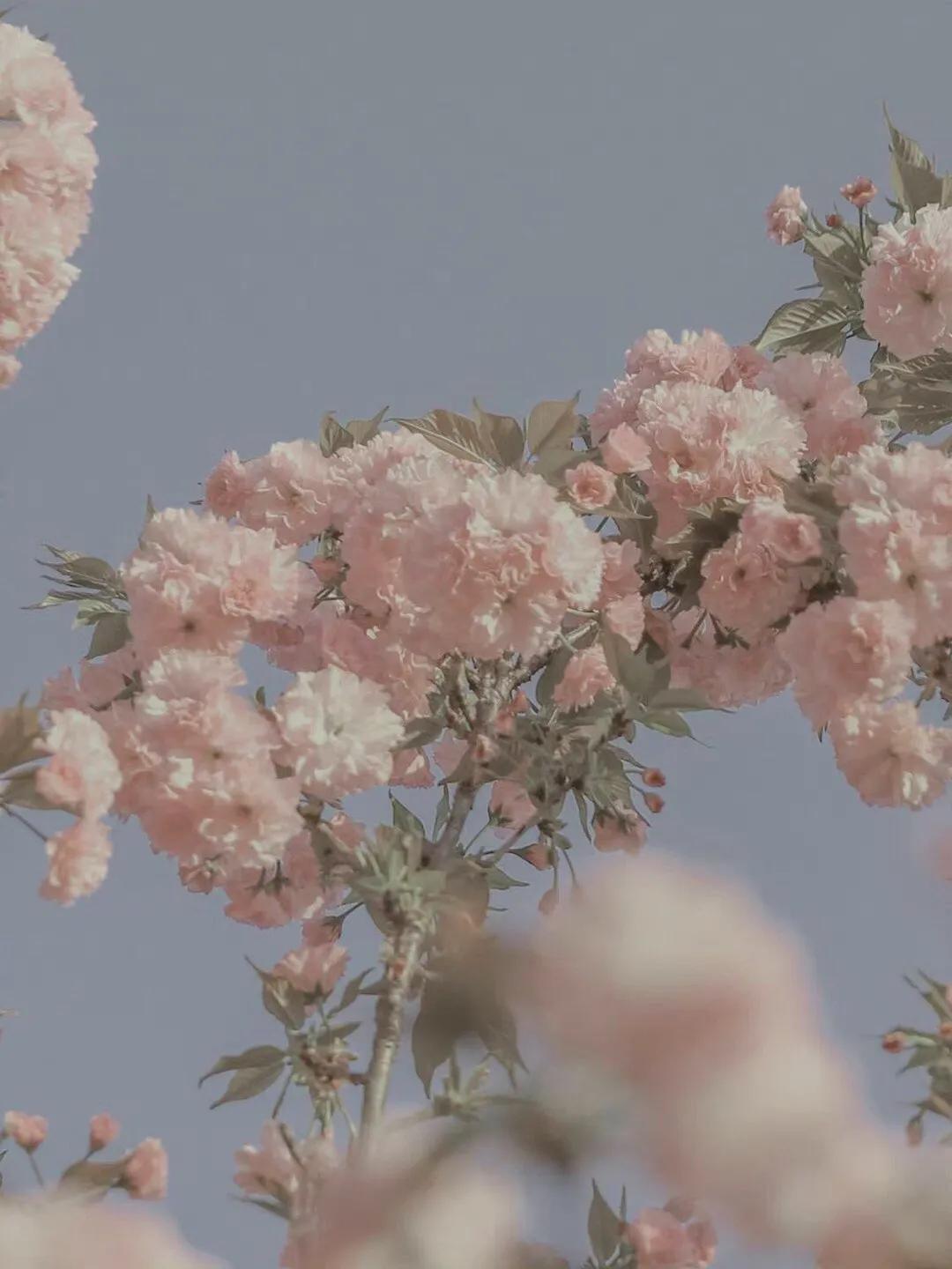 聊天时总把话题聊死？教你几句聊进男人心(图1)