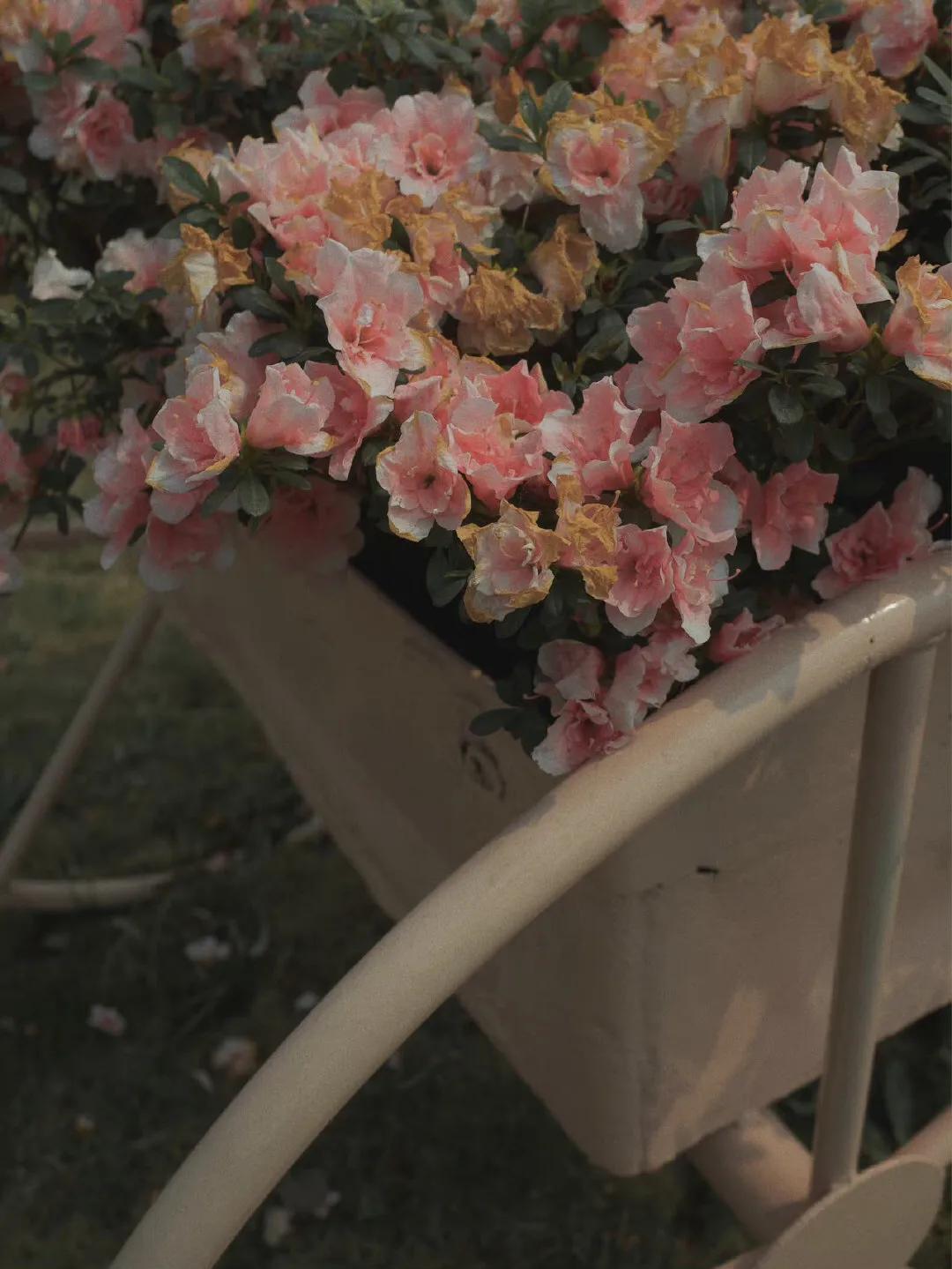 聊天时总把话题聊死？教你几句聊进男人心(图2)