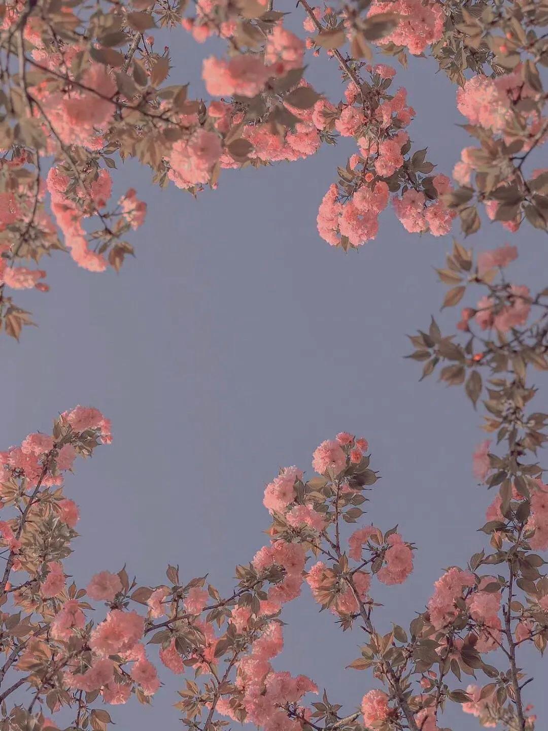 聊天时总把话题聊死？教你几句聊进男人心(图3)