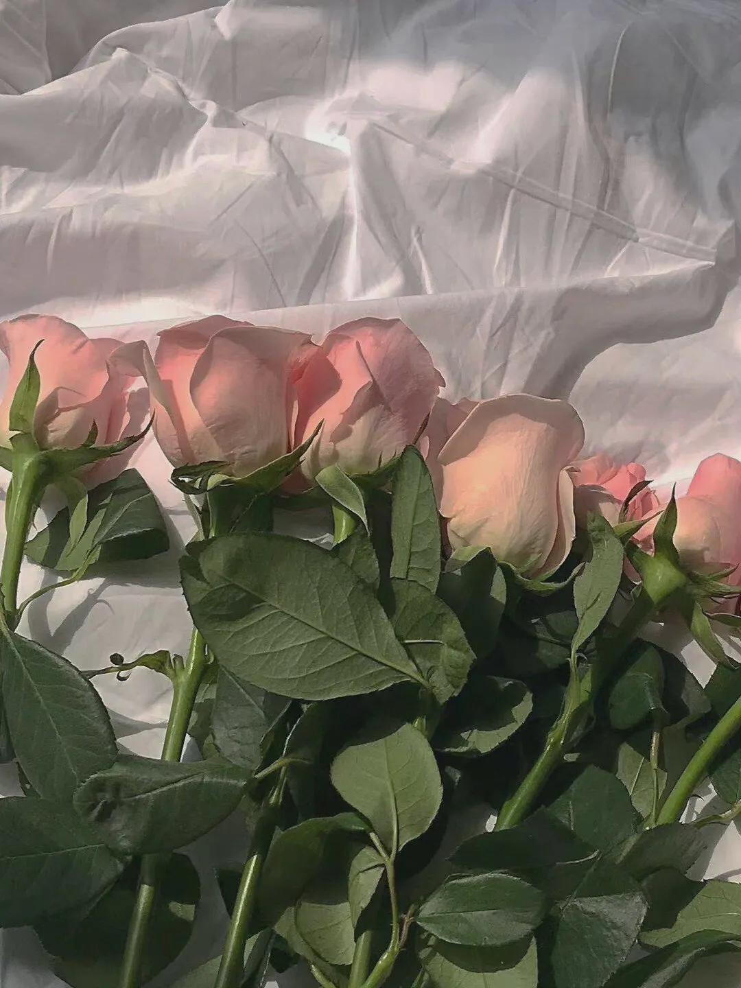 聊天时总把话题聊死？教你几句聊进男人心(图4)