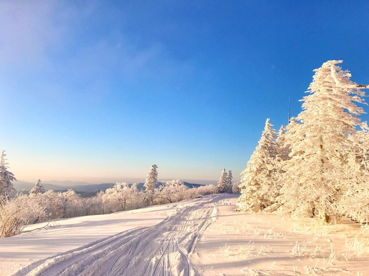 2022年中考半命题作文猜押（青春拼搏类）（写作指导+10篇范文）(图1)