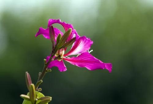 喜迎二十大，奋斗正青春！中考作文《奋斗赞歌》（序曲—立大志）(图6)