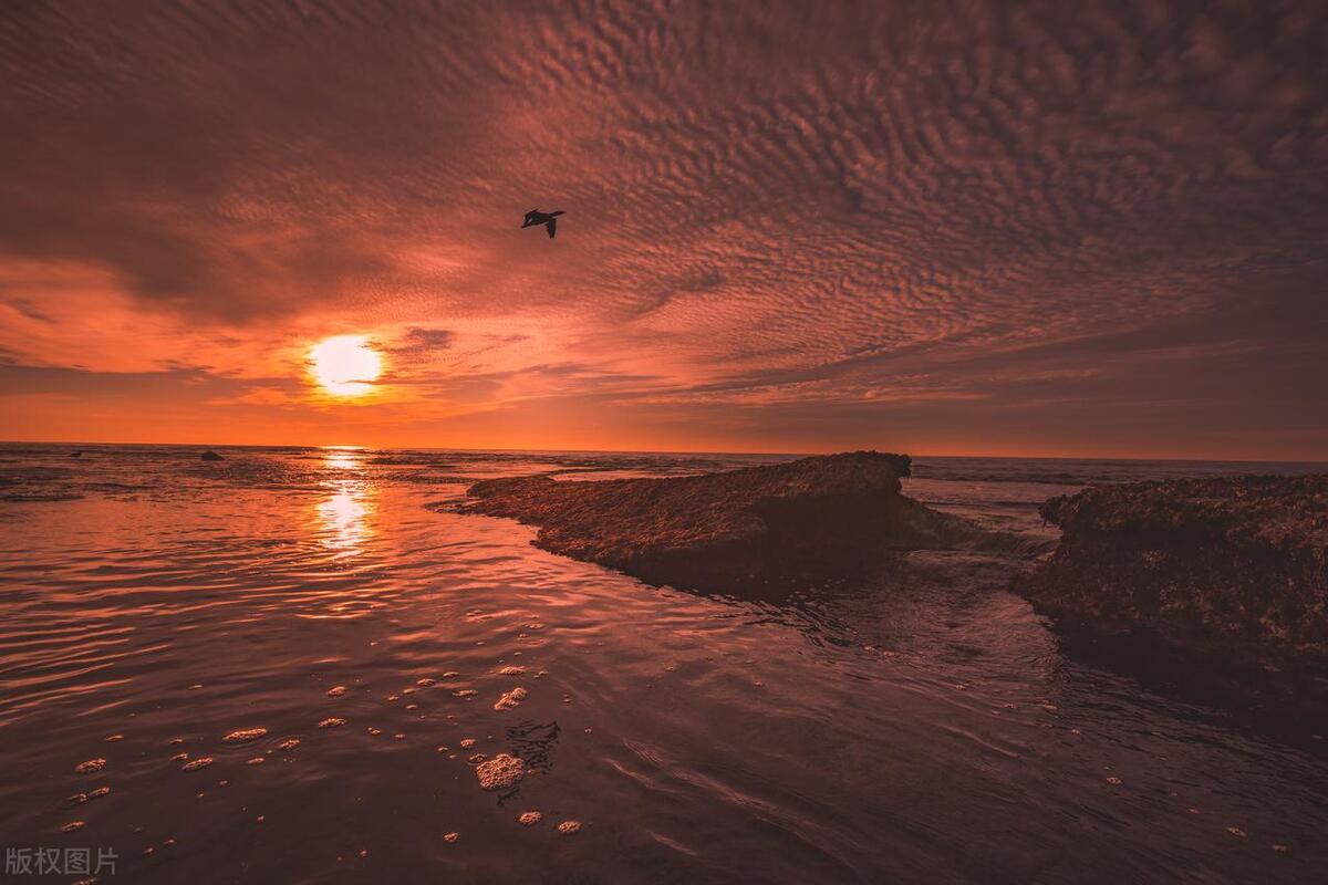 描写日出或日落的一段话（关于日出日落的唯美句子）(图2)